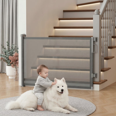 Ensemble de 6 pierres ponce pour animaux de compagnie pour voiture, literie, nettoyage de tapis et de canapés, gris, 5,3 x 2 x 1,4 pouces chacune
