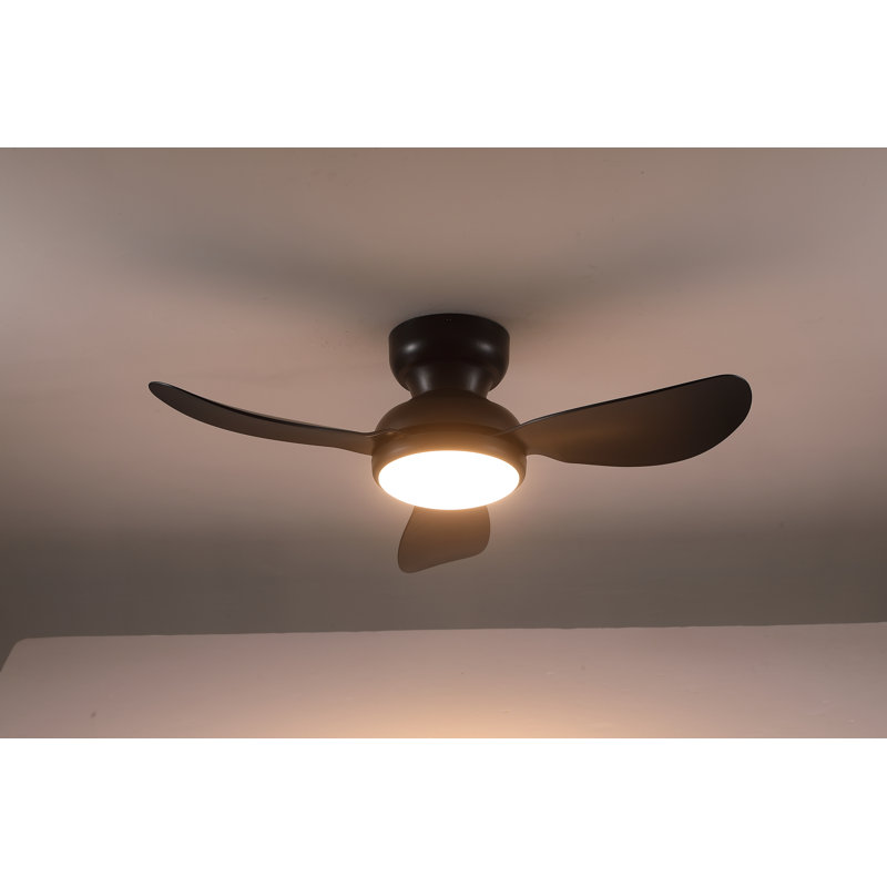 Ventilateur, Noir, 36"