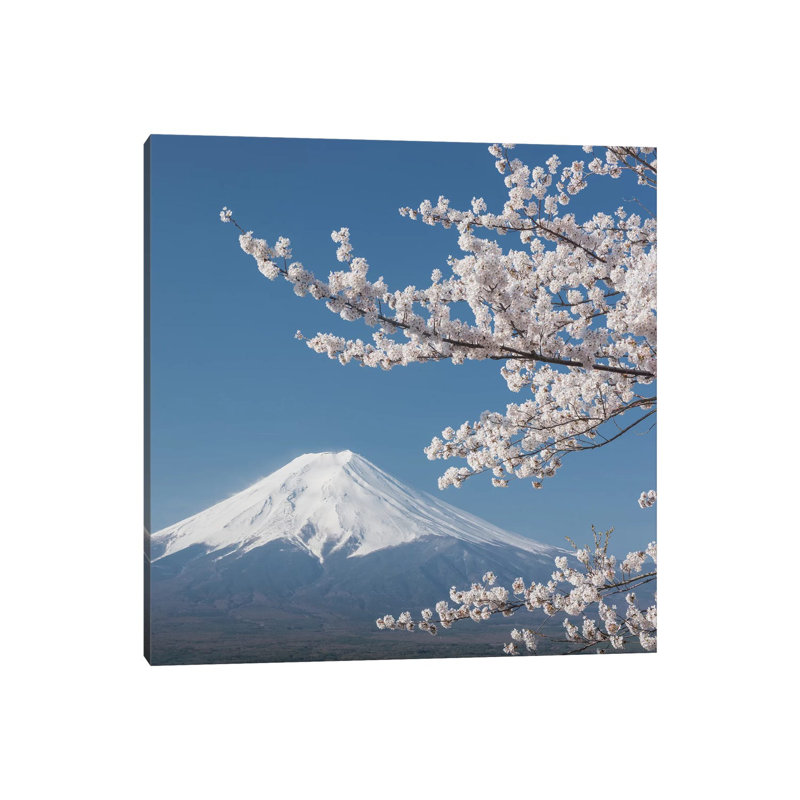 Spring In Japan XXVI by Daniel Kordan - Wrapped Canvas Gallery-Wrapped Canvas Giclée, 45.72 cm H x 45.72 cm W x 3.175 cm D