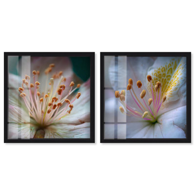 Neutral Tranquility Botanical Shadowbox Print Wall Decor Set of 2 by Art Remedy, Black Frame, 41x41