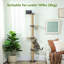 Cat Wall Furniture with 4 Perch Platforms for Indoor, Dark Grey