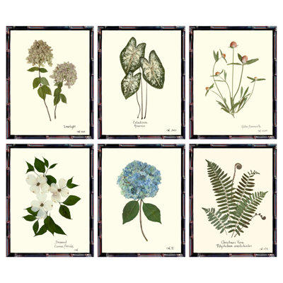 Pressed Botanical Framed Set