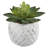 Beeck 4.5'' Faux Succulent in Pot