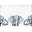 «Elephant Face-Off», reproduction sur toile tendue-1471012157