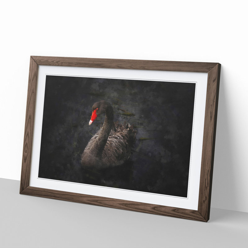 Black Swan - Picture Frame Painting, Walnut Framed, 27cm H x 36cm W x 2cm D