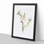 Almond Tree Flower by Giorgio Gallesio - Single Picture Frame Painting-55545160-55545161