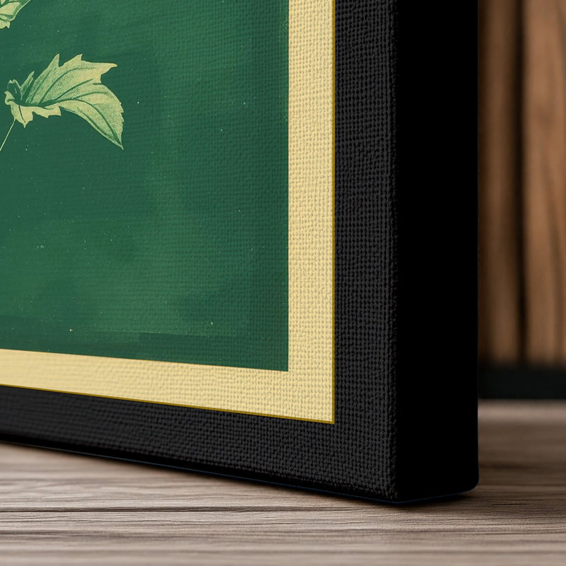 Pale Flowering Study Botanical - Wrapped Canvas, 24x16 - 61.0 x 40.6 cm, Black Border