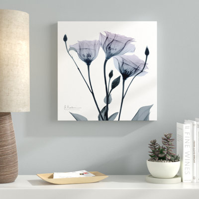 Midnight Gentian I - Wrapped Canvas Print