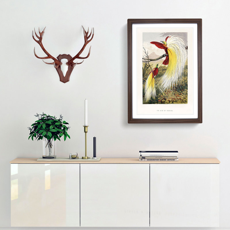 Two Birds of Paradise by Benjamin Fawcett - Picture Frame Painting Print, 36cm H x 27cm W x 2cm D, Walnut Framed