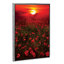 « chaleureux coucher de soleil » par marco carmassi-reproduction de photo-49715844-49715858