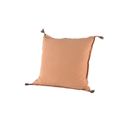 Tassels Reversible Throw Pillow