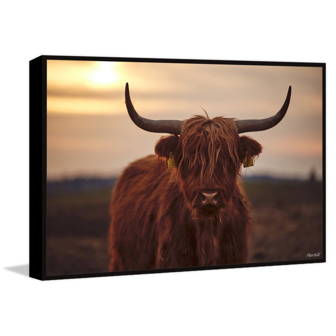 "Sunset And Cows" Floater Framed Painting Print On Canvas