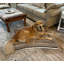 Lit pour chien et chat en microsuède réversible ivoire All Day with Cloud 9-1611992541-1611992536
