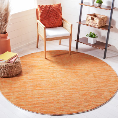 Ahir Orange Area Rug