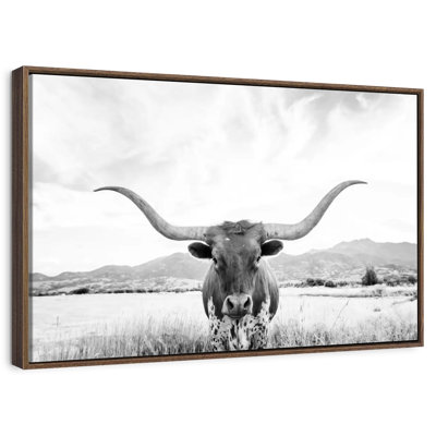 Longhorn Texas BW