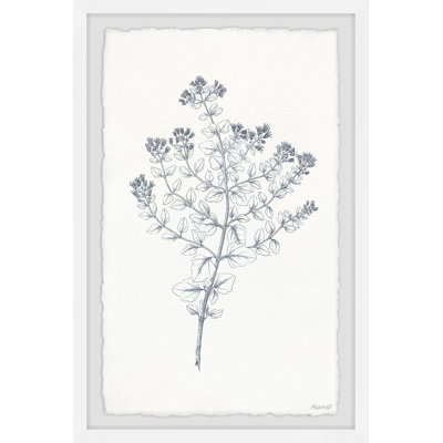 Indigo Botany Study VI 1 Piece Single Picture Frame Painting