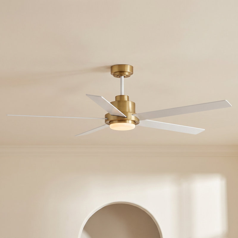Isobel 60'' Ceiling Fan with LED Lights