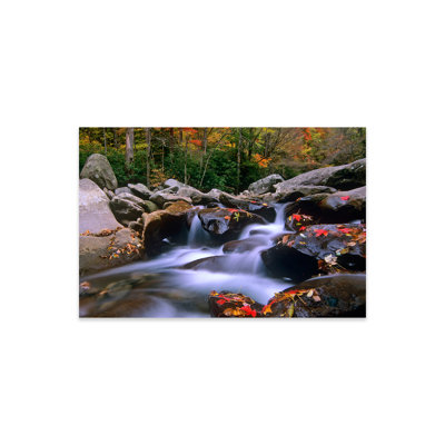 «Little Pigeon River», cascade entre des rochers et feuilles d'érable colorées, parc national des Great Smoky Mountains, Tennessee I par Tim Fitzharris - reproduction de photo