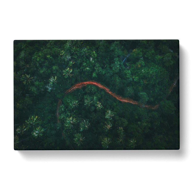 Path Through A Forest In Ko Samui Thailand - Wrapped Canvas, 40cm H x 60cm W x 3cm D