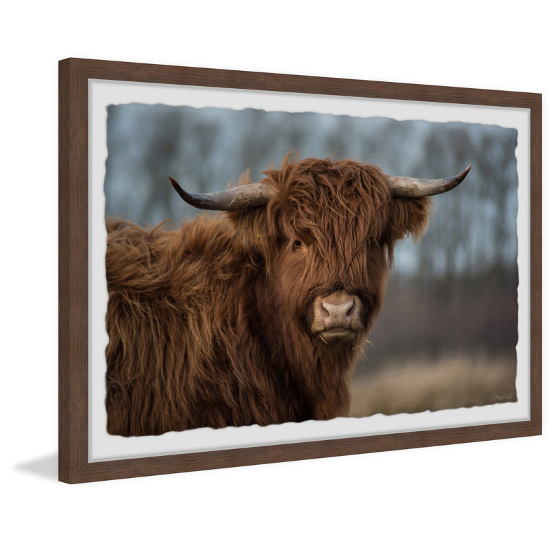 Woolly Coat - Single Picture Frame Print, 61cm H x 91cm W x 3.81cm D