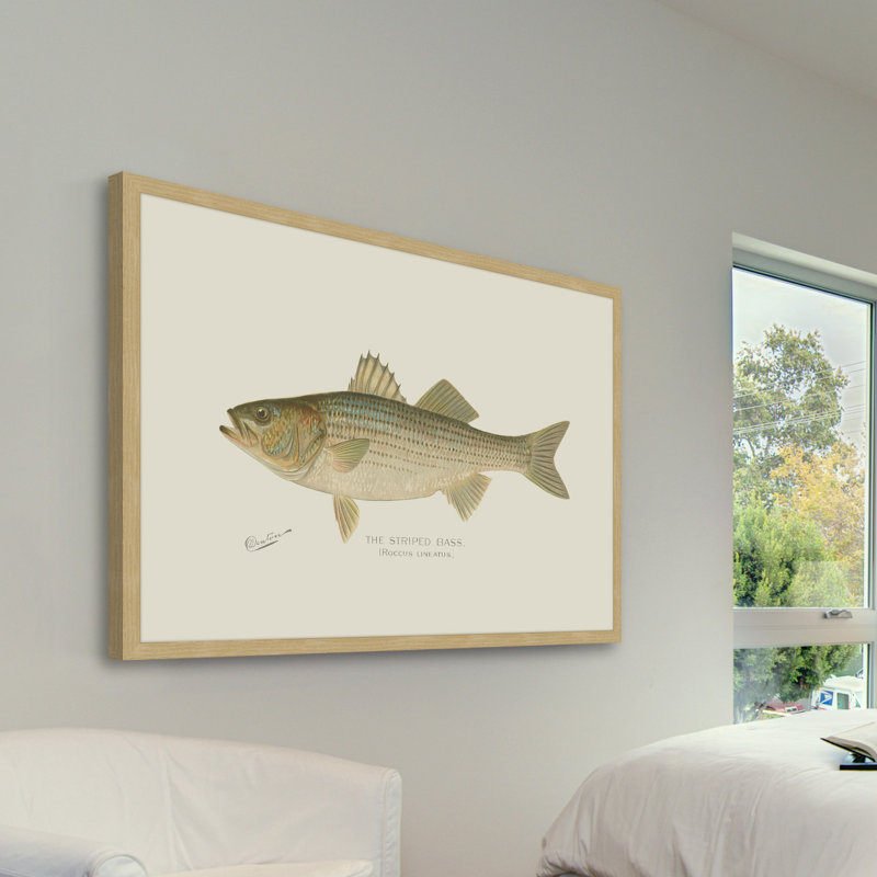 "Bass" Framed Print, 24" H x 36" W x 1.5" D