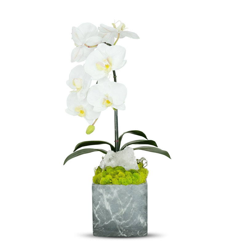Artificial Orchid in Planter
