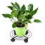Support pour plante Thyrwi-1231637632