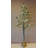 60'' Lighted Trees & Branches