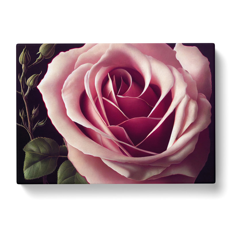 An Exceptional Rose Flower - Wrapped Canvas, 40cm H x 60cm W x 3cm D