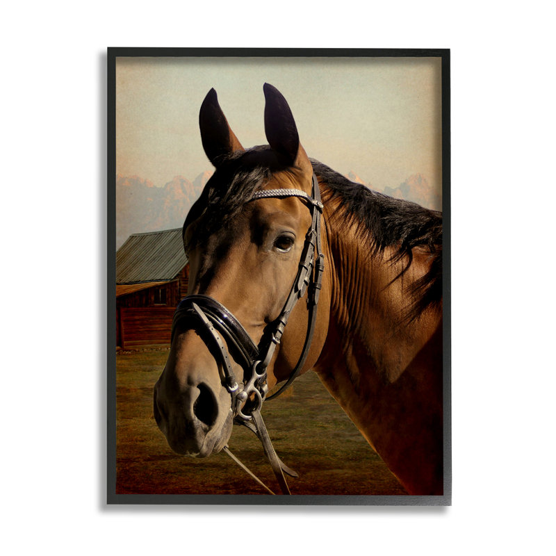 Portrait de cheval brun par Marcus Prime, H 14 po x l 11 po x P 1,5 po, Giclée encadrée noir minuit