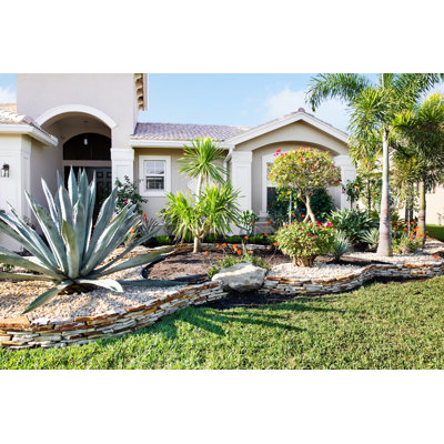New Landscaping in Front of a Home by Jodijacobson