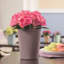 Deltini Pot Planter-16493045-16493047