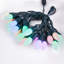 189.9" LED 20 - Bulb Novelty String Light