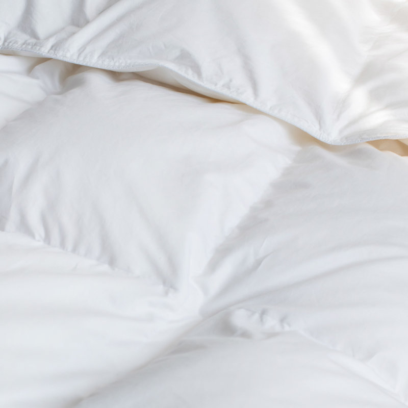Insert de couette en duvet de canard blanc toutes saisons de qualité supérieure, Lit simple