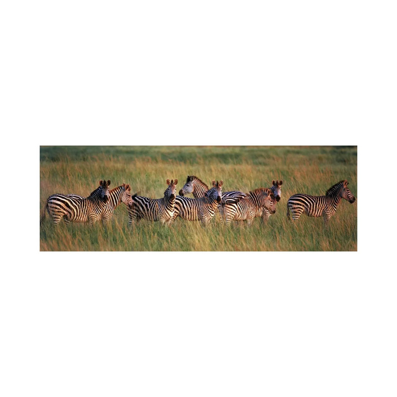 Burchell'S Zebras (Equus Quagga Burchellii) In A Forest, Masai Mara National Reserve, Kenya - Wrapped Canvas Panoramic Print