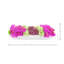 Orchidée Adelina et arrangement de plantes grasses-1665462801