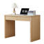 43.3'' W Rectangle Computer Desk-733948210
