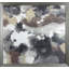 Shell Ephemera IV Print by Jardine