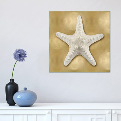 Shell On Gold VI by Caroline Kelly - Wrapped Canvas Painting