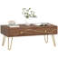 Harbine Coffee Table with Storage