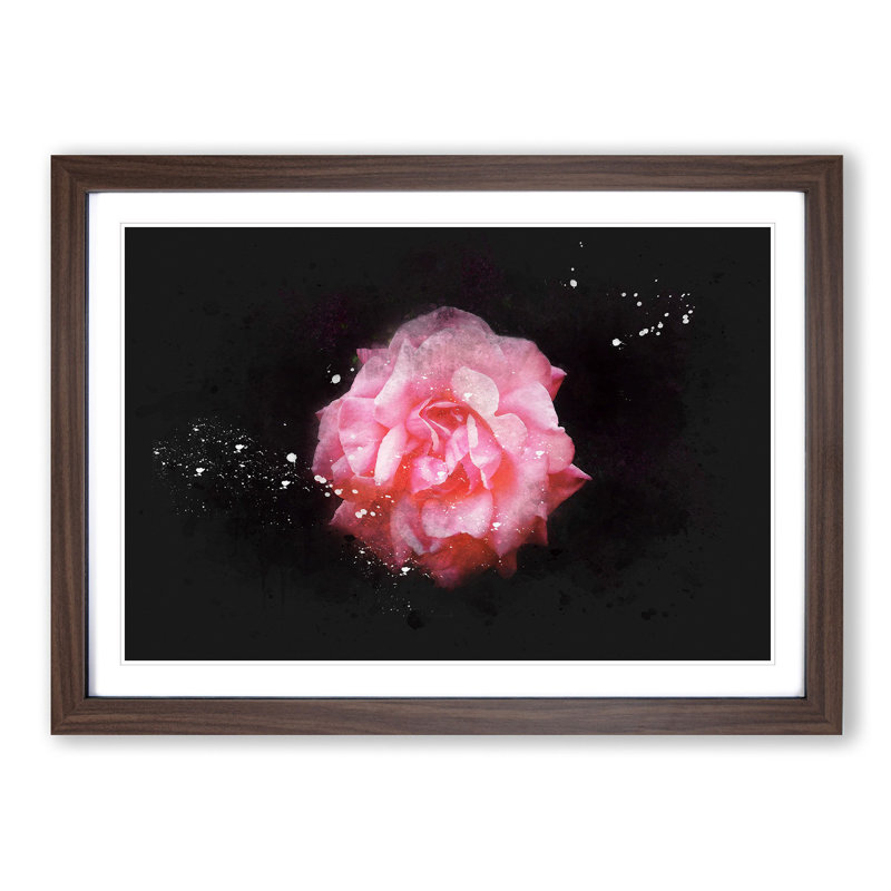 Lone Pink Carnation Paint Splash - Picture Frame Graphic Art, 24cm H x 33cm W x 2cm D, Walnut Framed