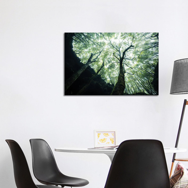 Growing Towards The Light by Fabian Fortmann - Wrapped Canvas Print, 101.6 cm H x 66.04 cm W x 1.91 cm D