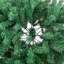 6.89' H Artificial Pine Christmas Tree