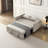 Lateresa 54'' Small Loveseat Pull-Out Sofa Bed - Adjustable Backrest With 2 Soft Pillows-804855092