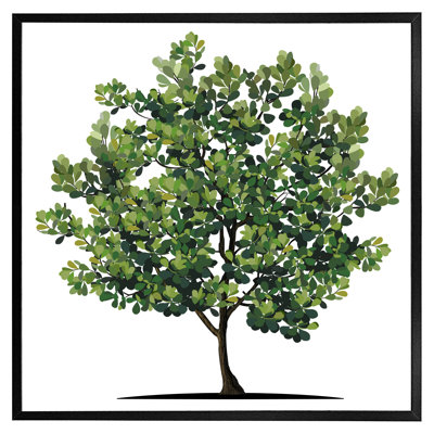 Evaro Tree - Single Picture Frame Print