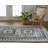 Catoe Oriental Indoor Rug-1012146997