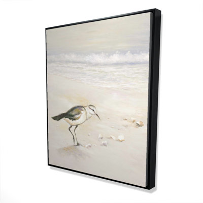 " Semipalmated Sandpiper On The Beach "