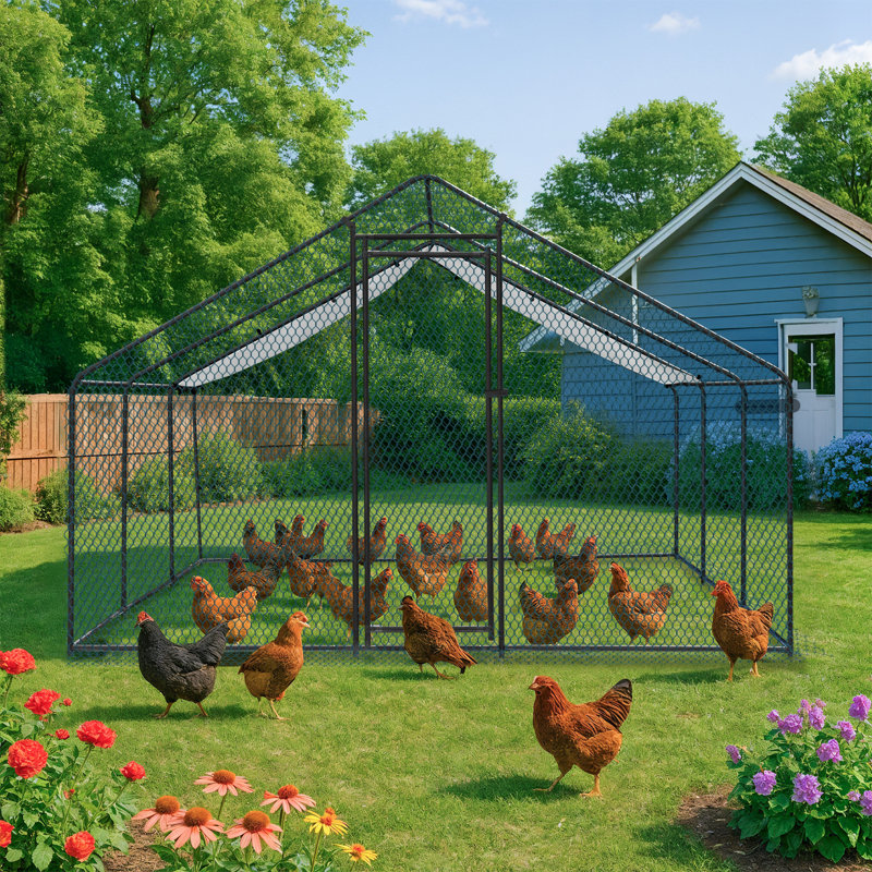 Emmeric Walk In Chicken Run, H 78 po x l 236 po x P 117 po, Noir