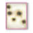 Pink is unavailable