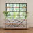 Provence Cafe Pendant-87294164